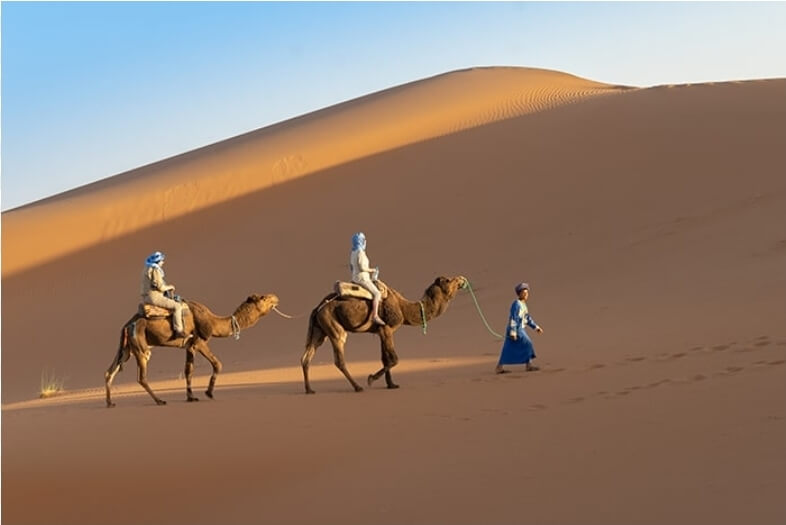 Chameaux dunes désert Agadir