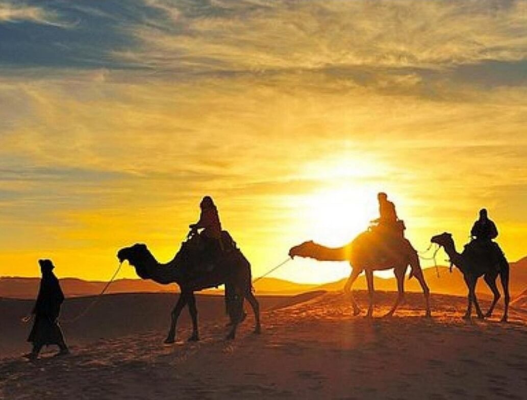 Caravane chameaux désert