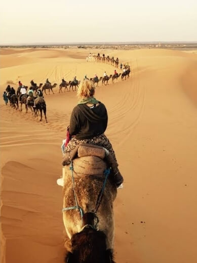 Balade chameau coucher soleil plage