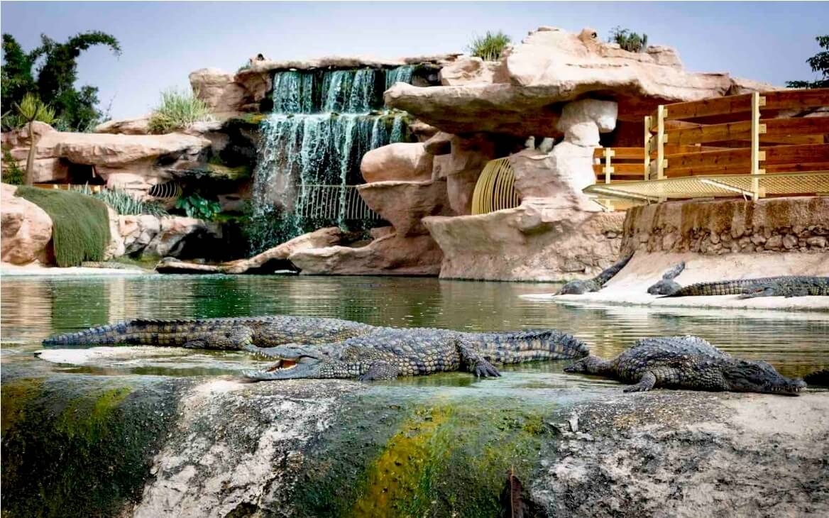 Crocoparc Agadir crocodiles bassin