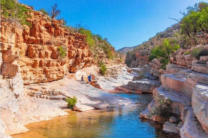 Nature et palmiers Paradise Valley