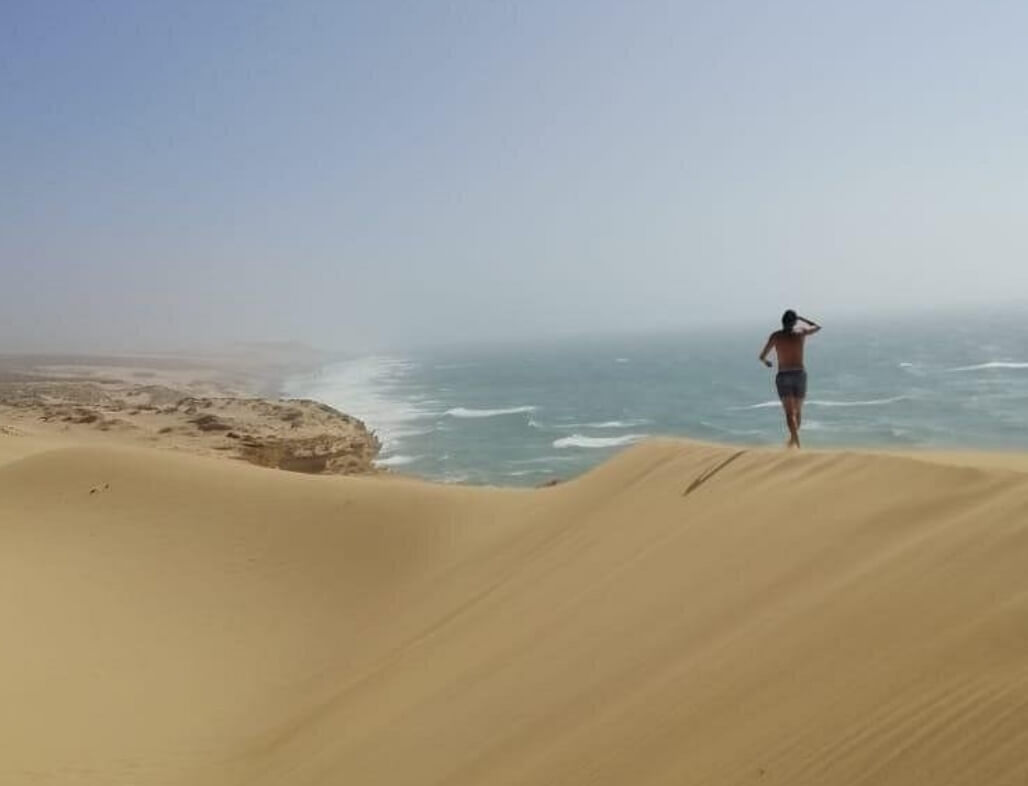 Vue panoramique dunes et mer Timlaline